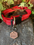Little bugger dog tag. Novelty dog tag
