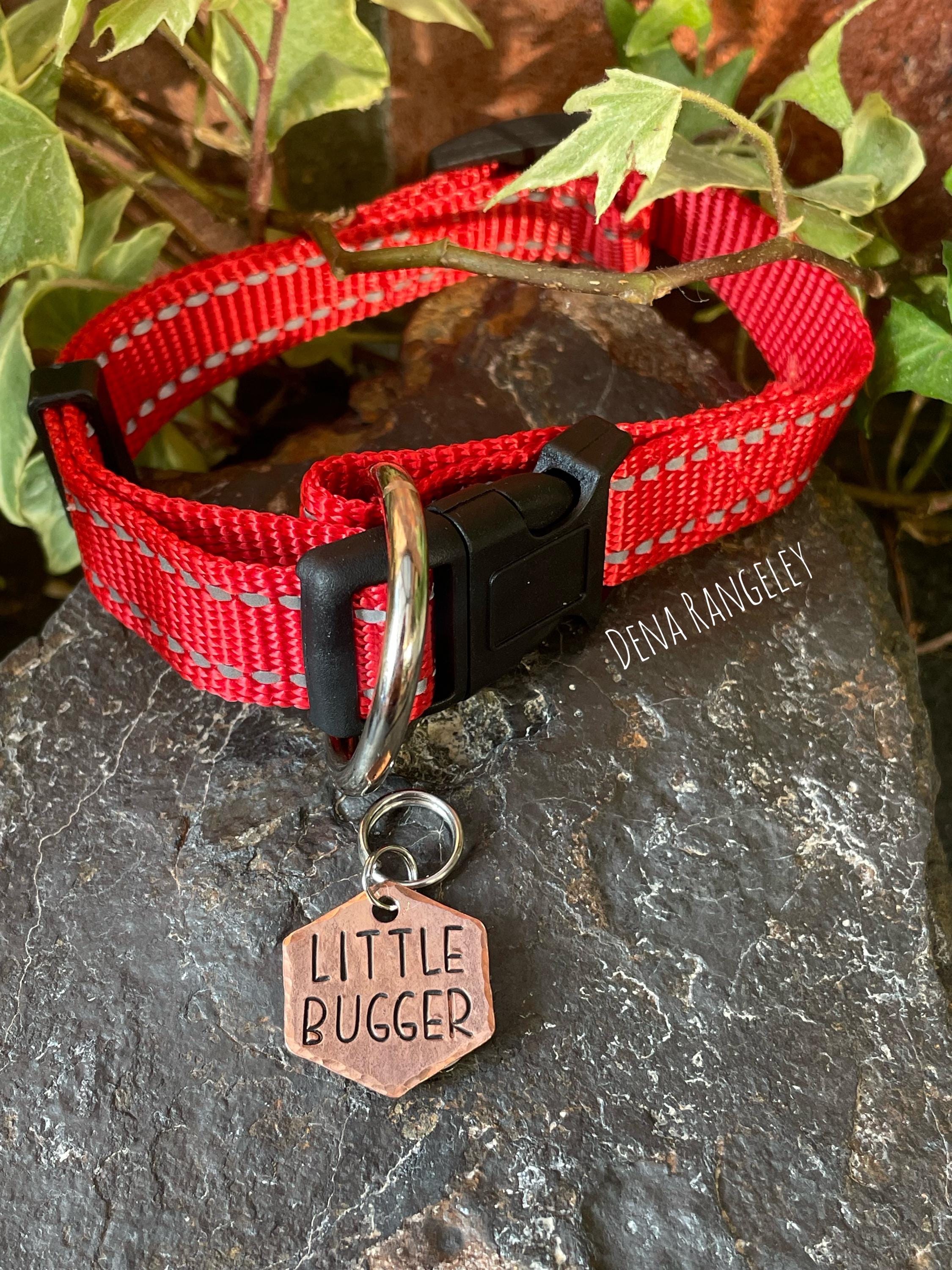 Little bugger dog tag. Novelty dog tag