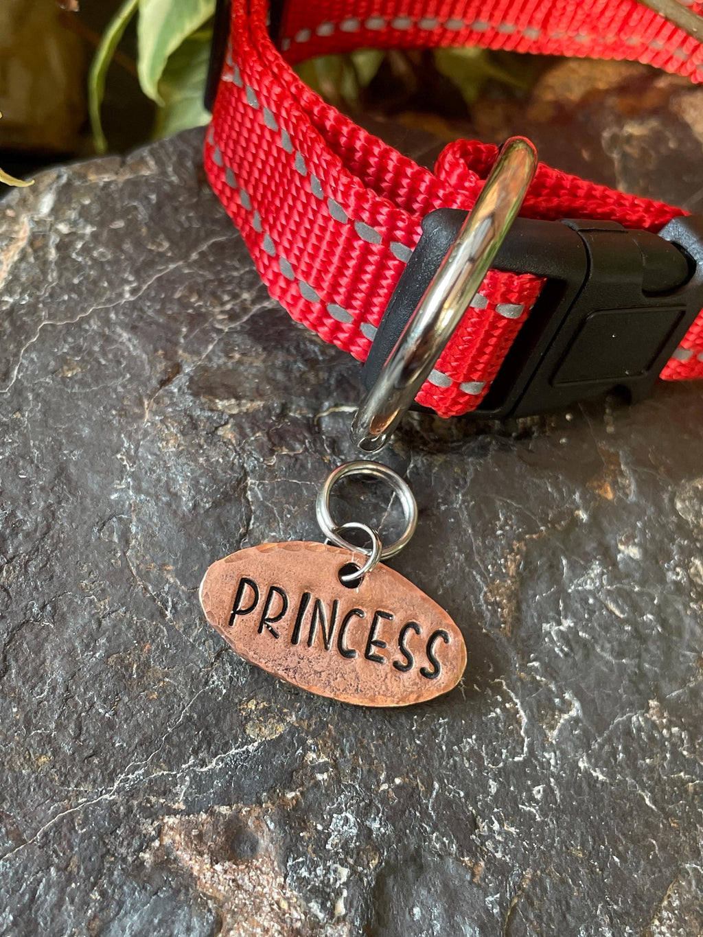 Little princess dog tag. Novelty dog tag. Princess