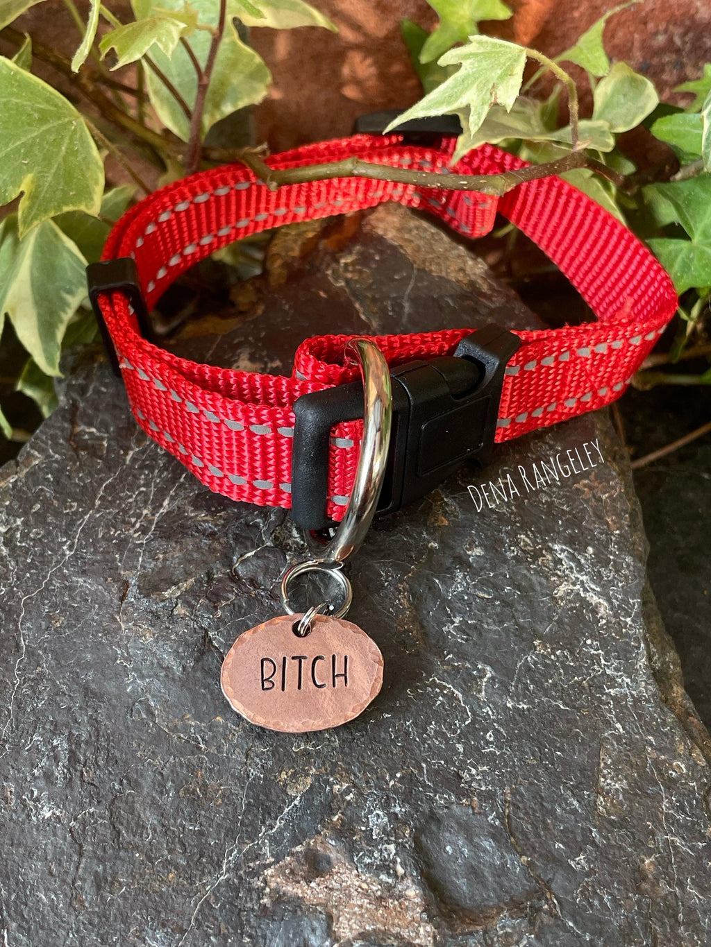 Bitch dog tag. Novelty dog tag. Bitch charm