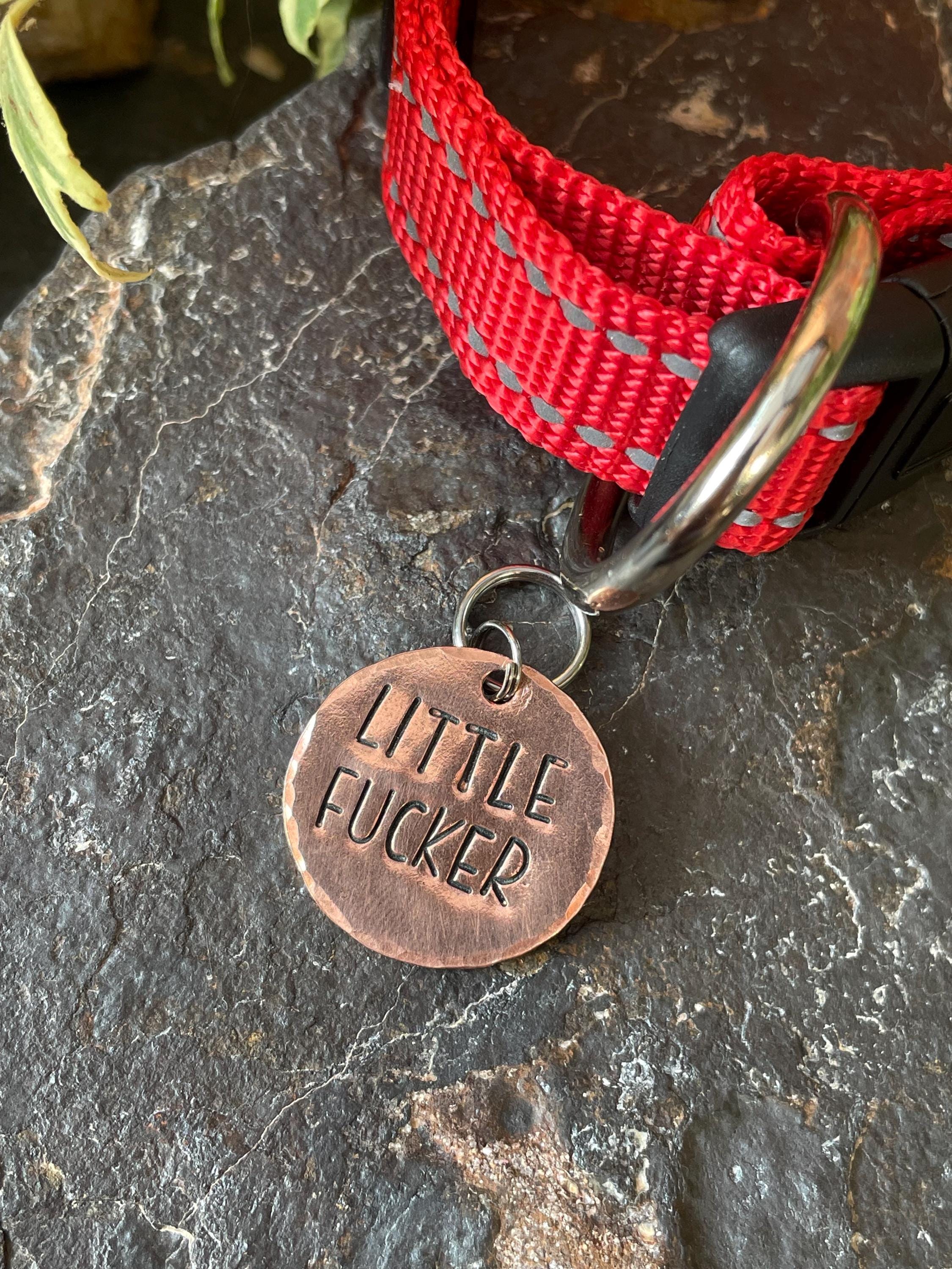 Little fucker tag. Novelty dog tag. Little fucker charm