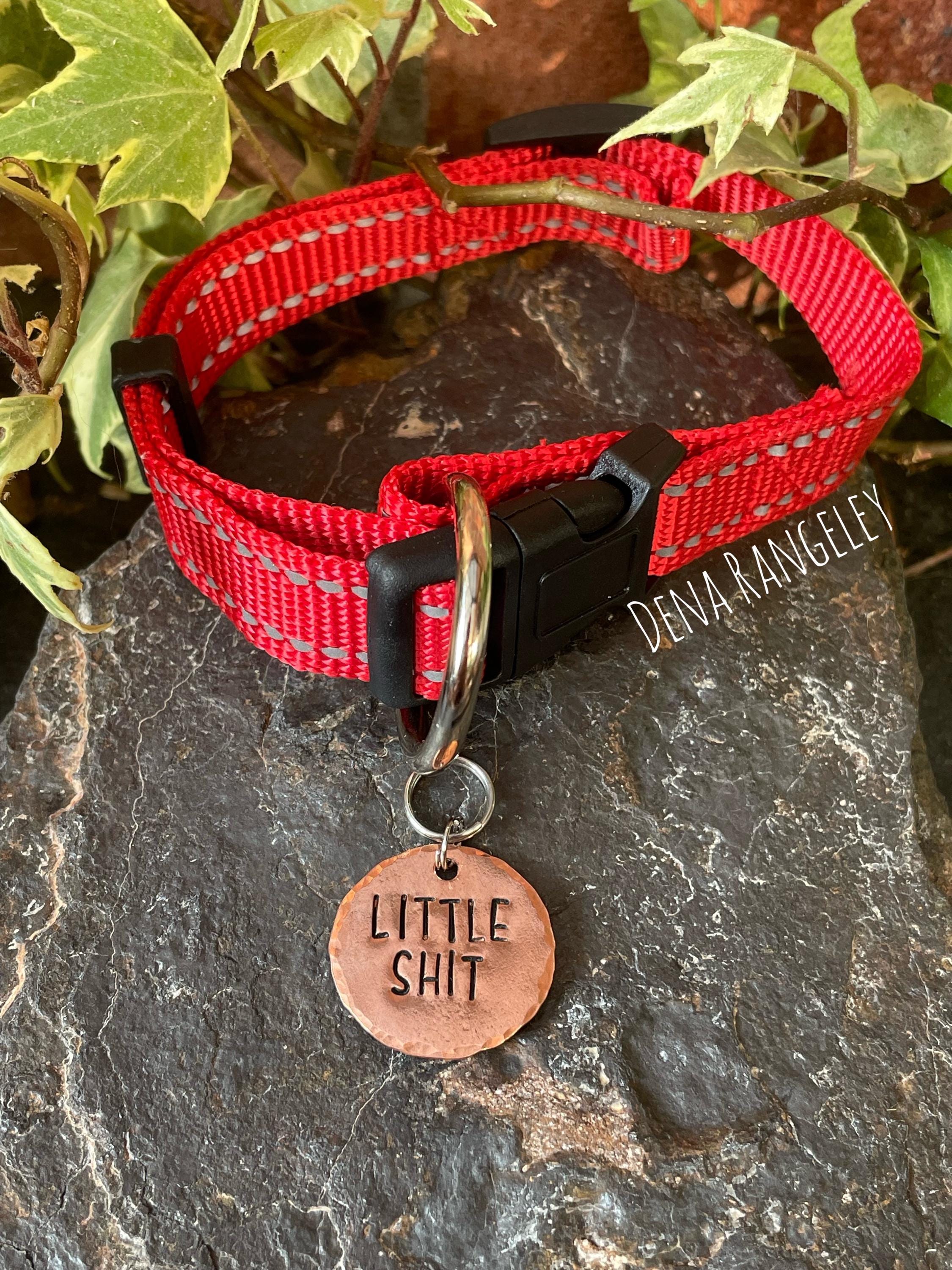 Little shit tag. Novelty dog tag. Little shit charm