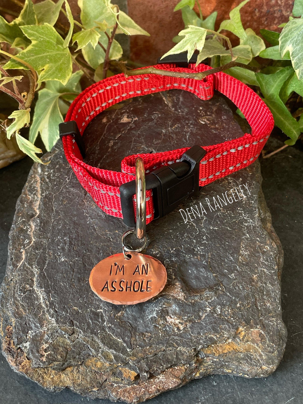 I’m an asshole tag. Novelty dog tag. Asshole charm