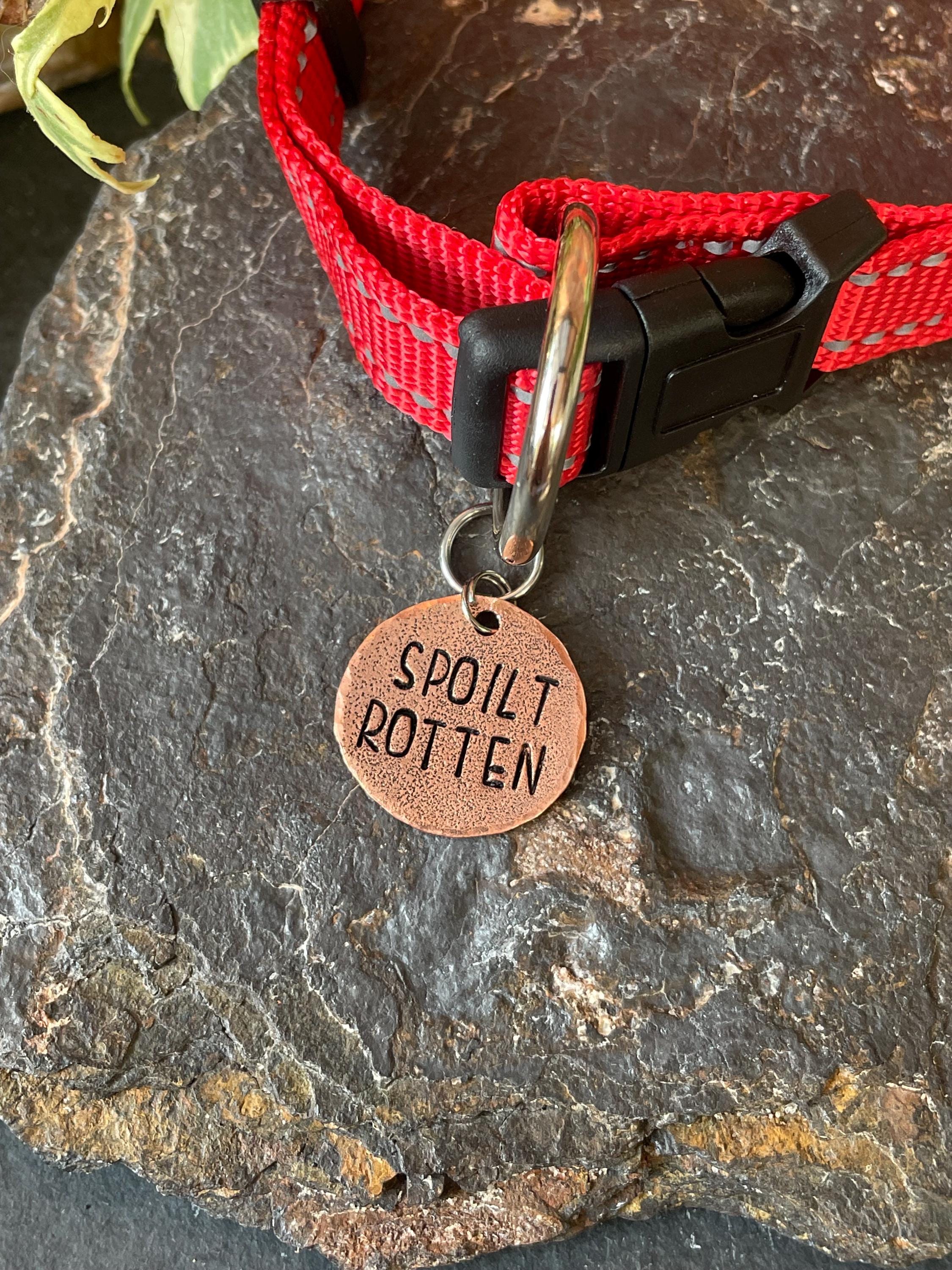 Spoilt rotten. Novelty dog tag. Spoilt rotten charm
