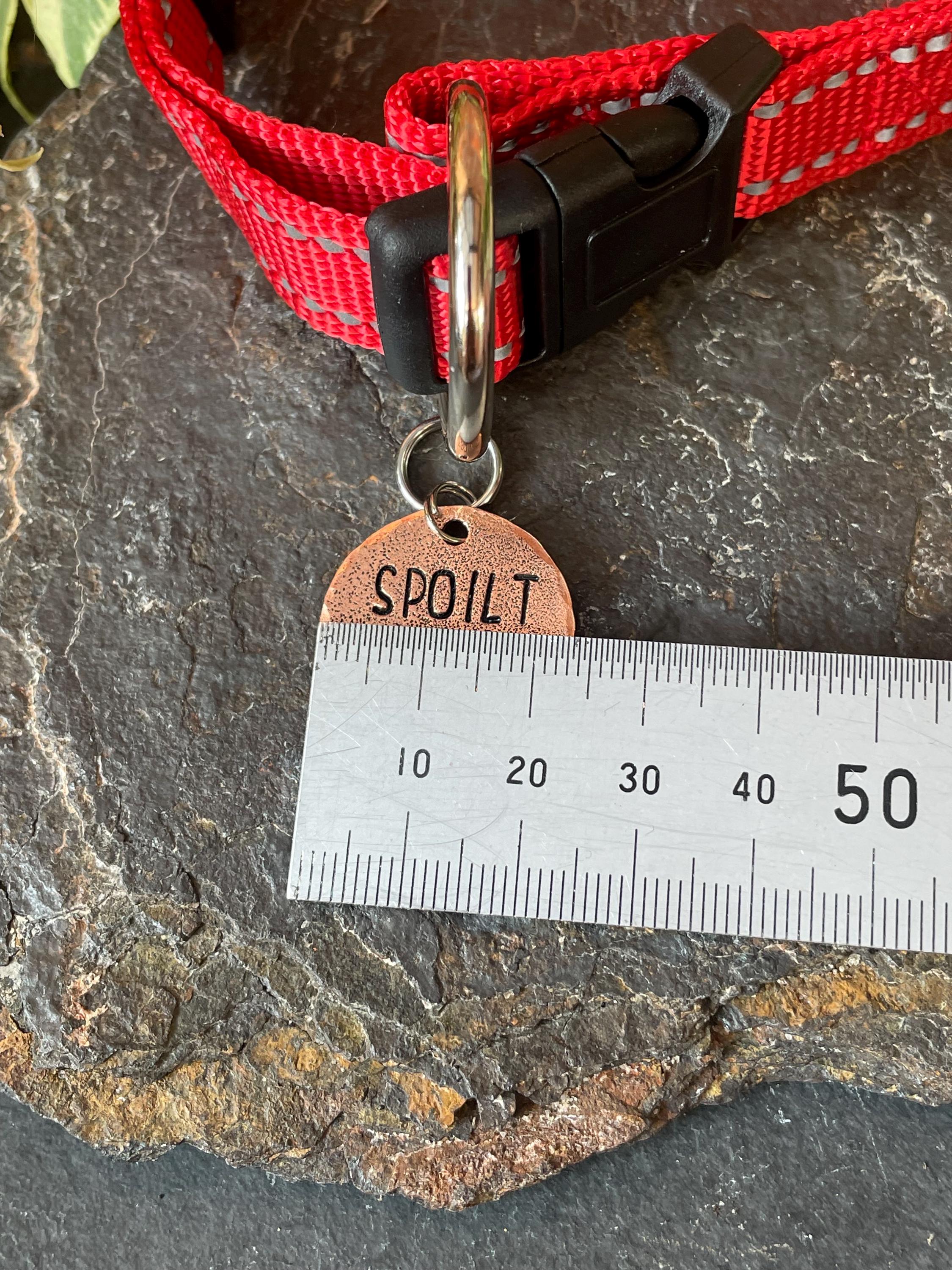 Spoilt rotten. Novelty dog tag. Spoilt rotten charm
