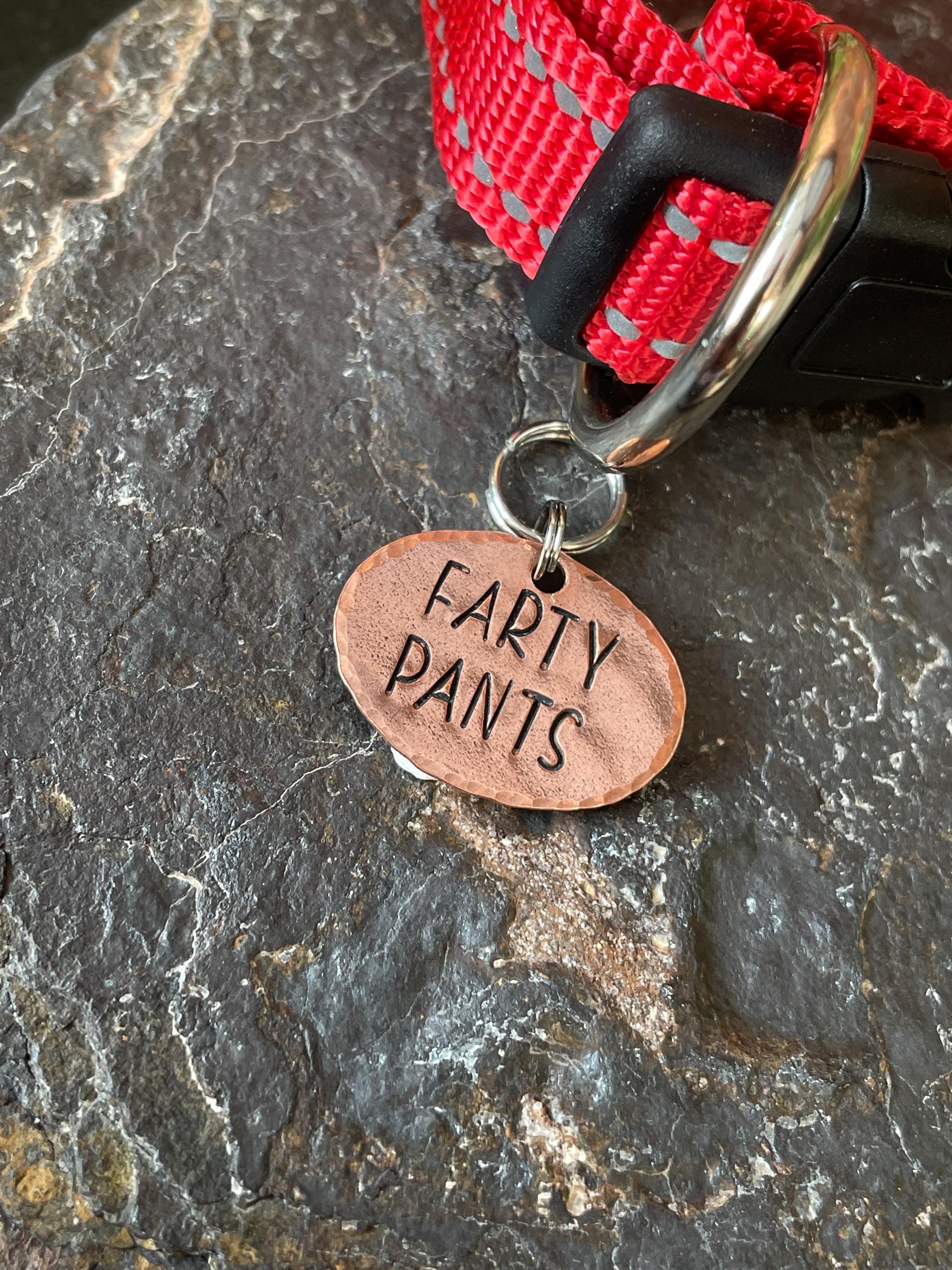 Farty pants. Novelty dog tag. Farty pants charm