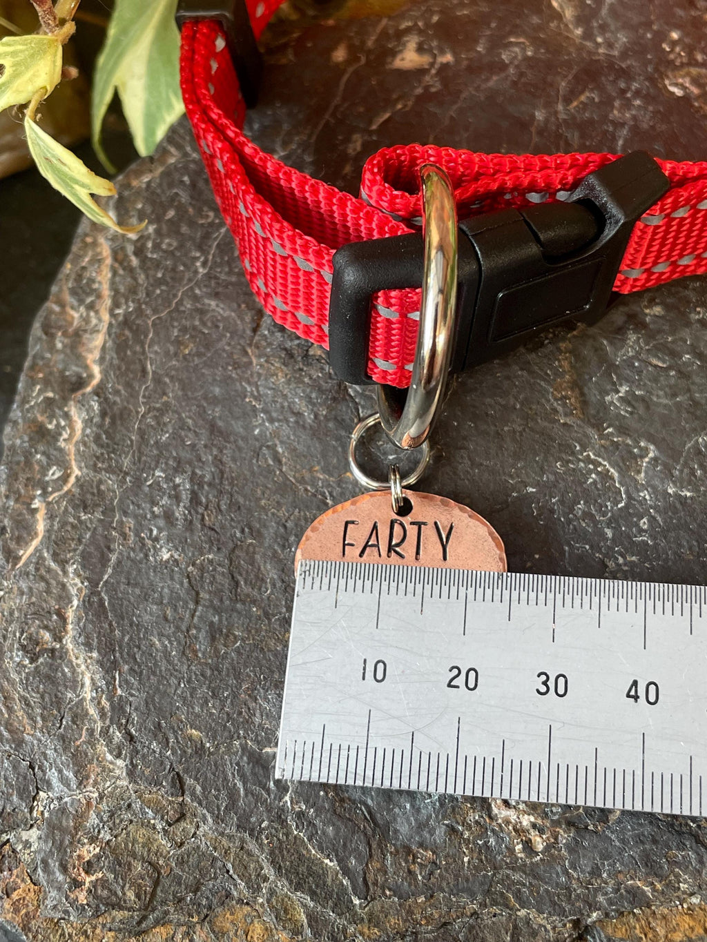 Farty pants. Novelty dog tag. Farty pants charm