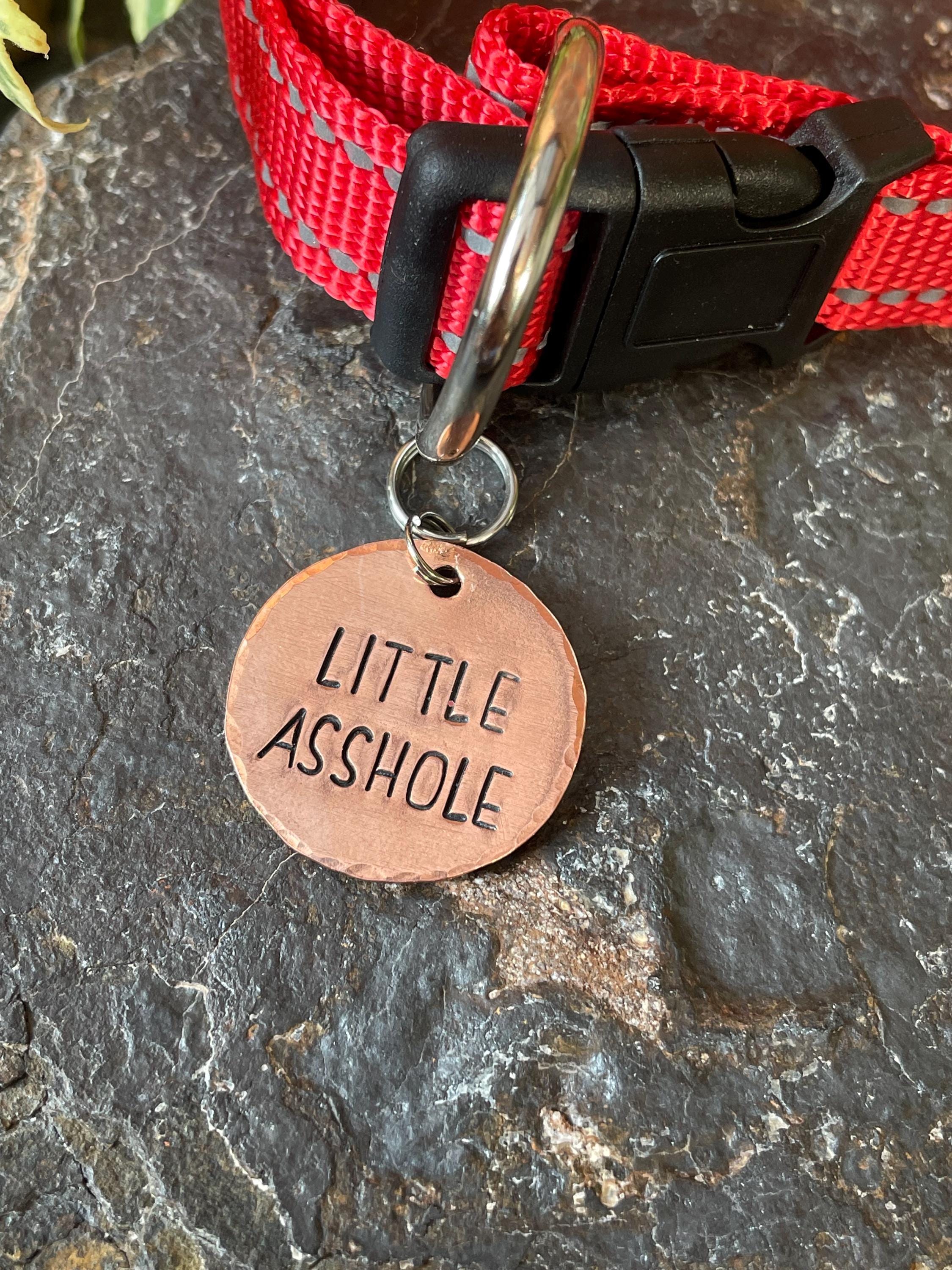 Little asshole. Novelty dog tag. Little asshole charm