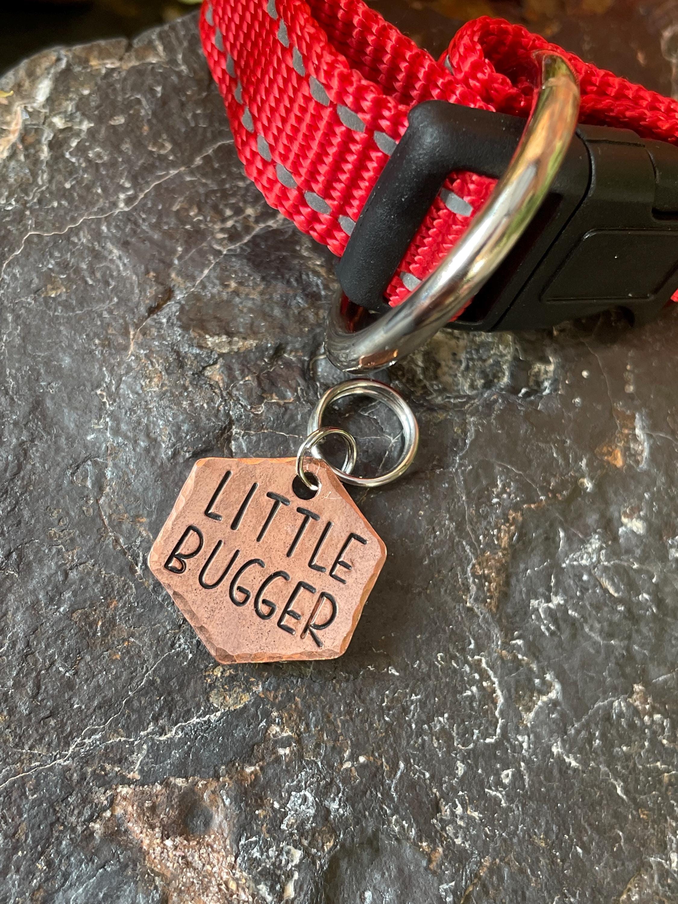 Little bugger dog tag. Novelty dog tag