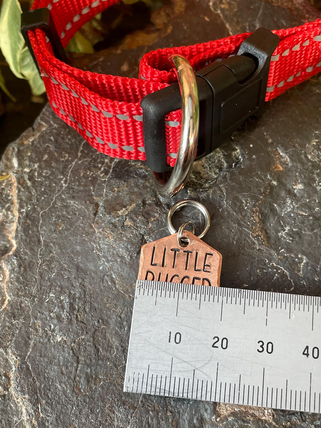 Little bugger dog tag. Novelty dog tag
