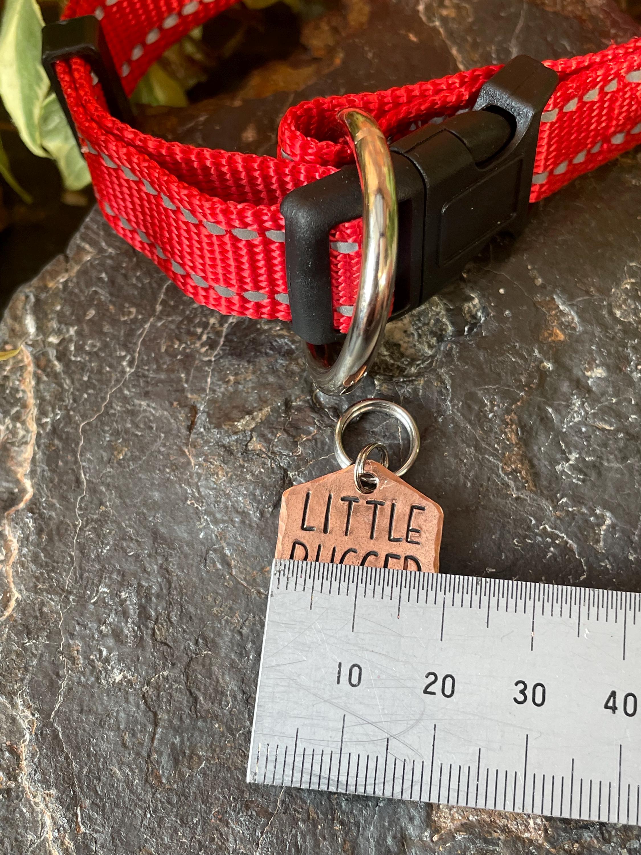 Little bugger dog tag. Novelty dog tag