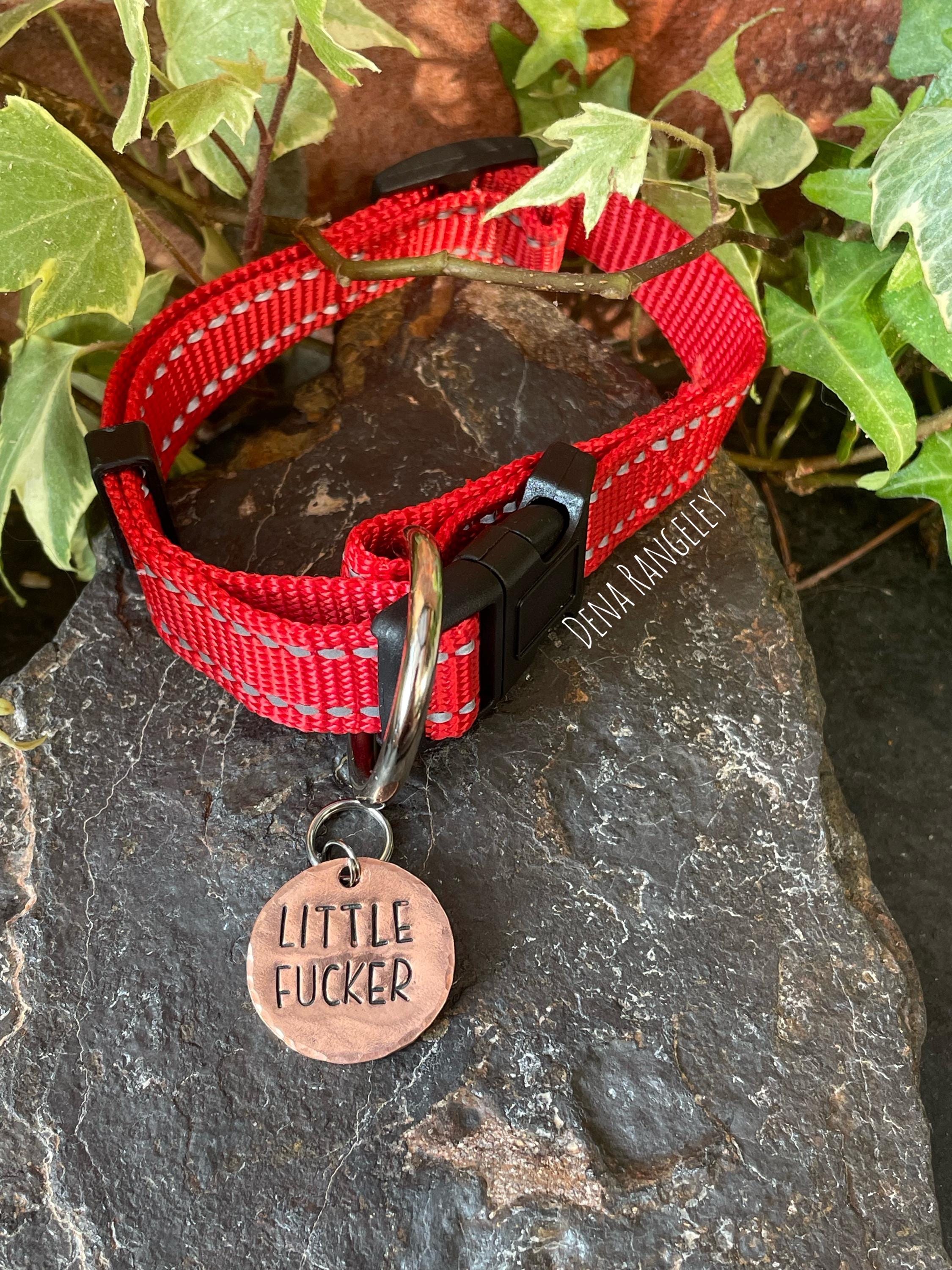 Little fucker tag. Novelty dog tag. Little fucker charm