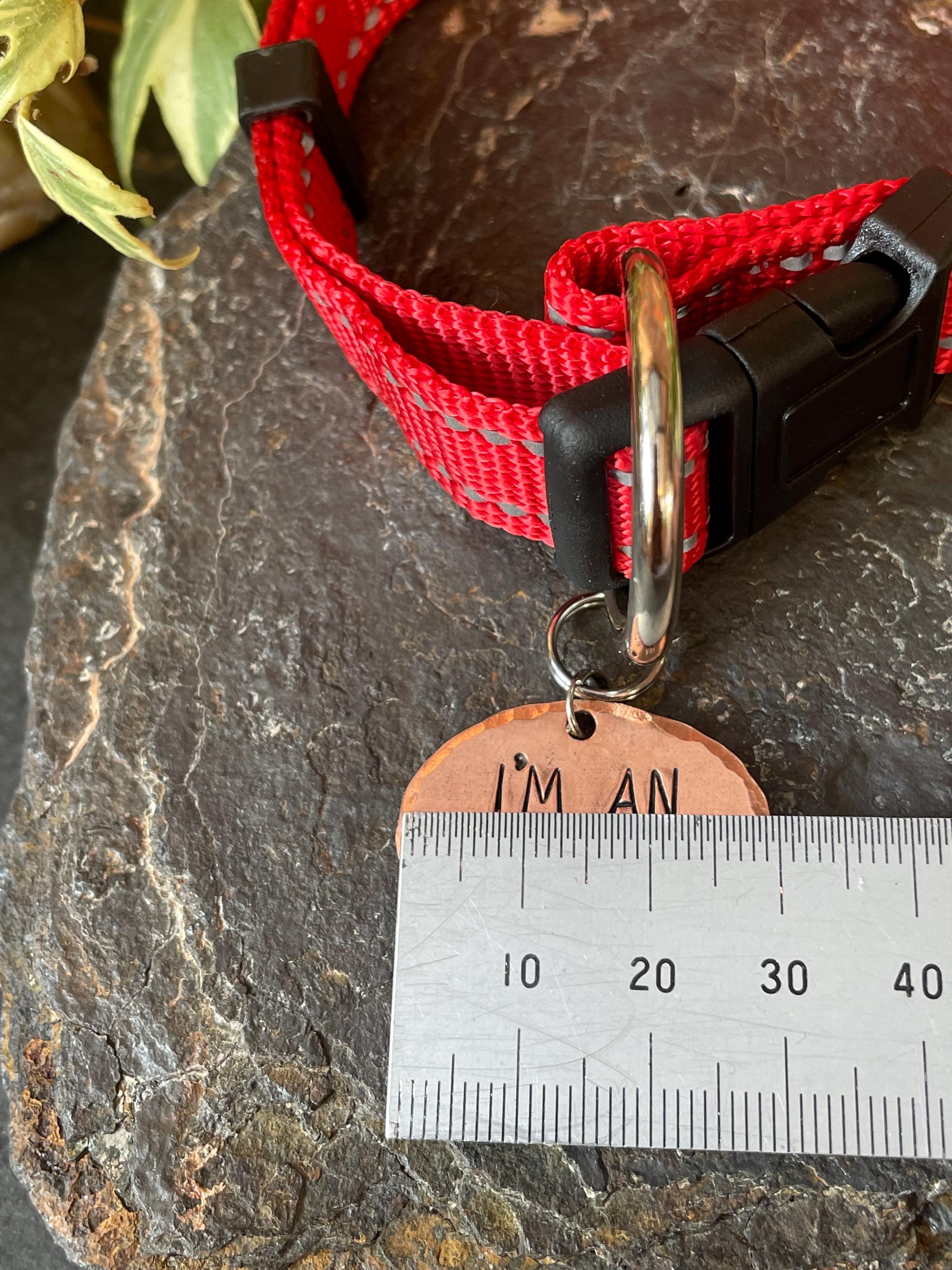 I’m an asshole tag. Novelty dog tag. Asshole charm