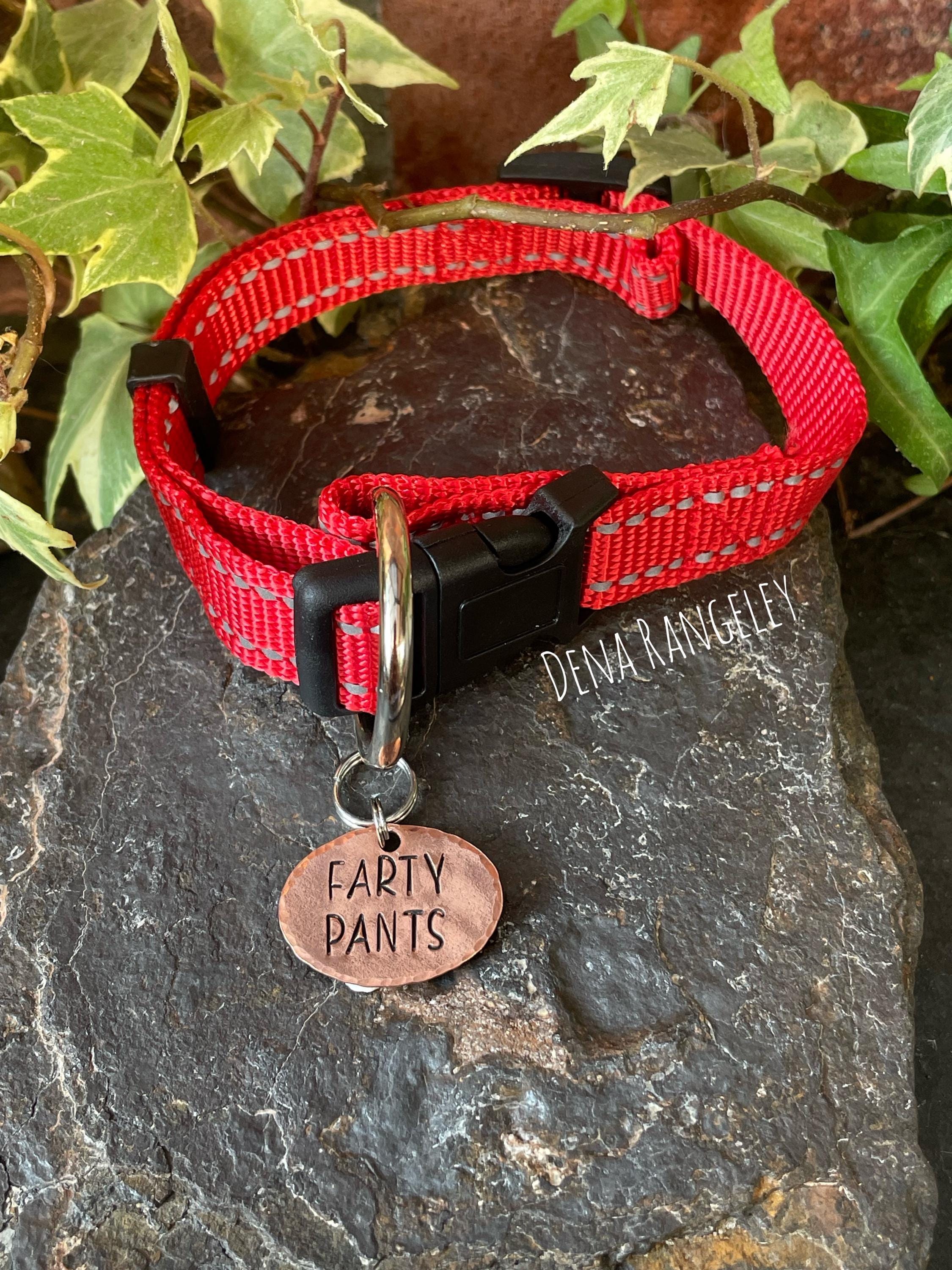 Farty pants. Novelty dog tag. Farty pants charm
