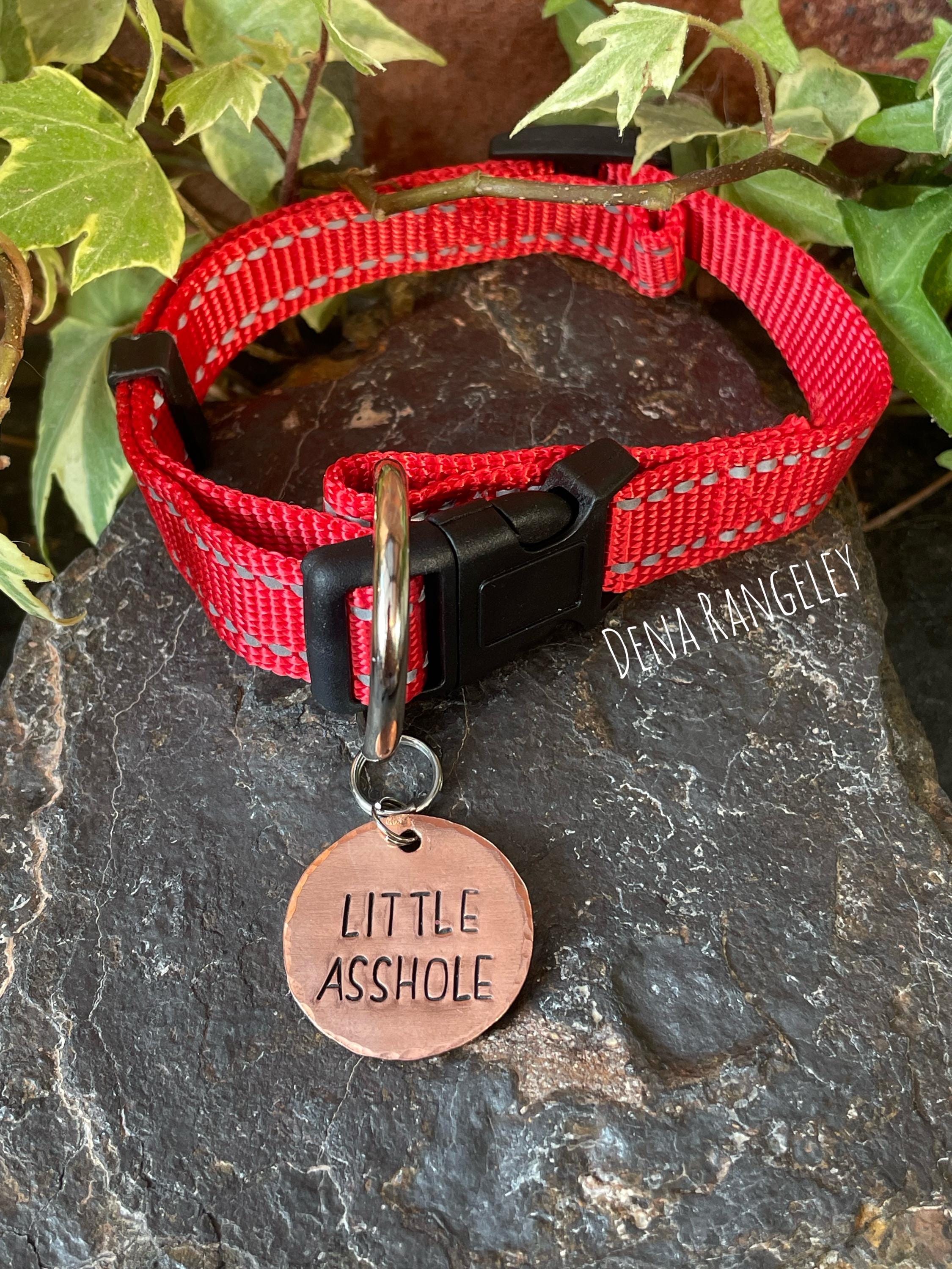 Little asshole. Novelty dog tag. Little asshole charm
